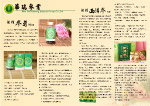 企业画册