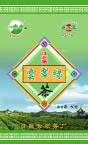 云翠绿茶包装设计