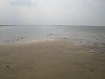大海