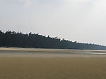 沙滩