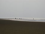 大海
