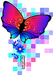 蝶恋花