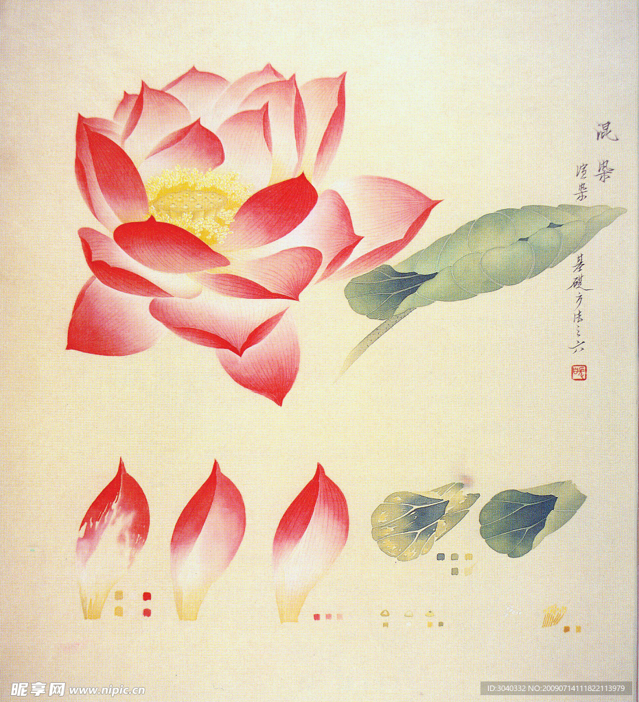 工笔花卉