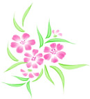 psd分层花卉