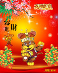 虎年