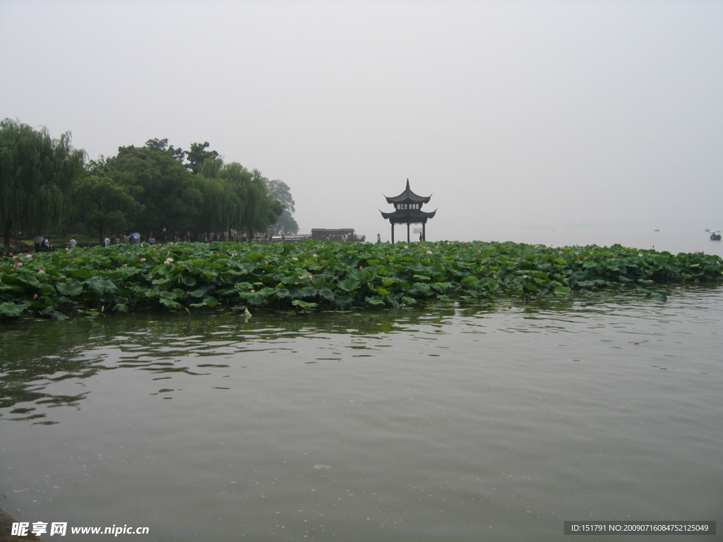 西湖美景 塔