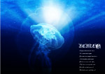 海之光