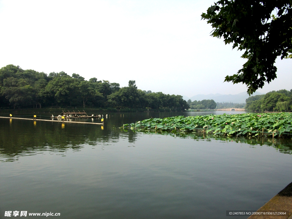 西湖美景
