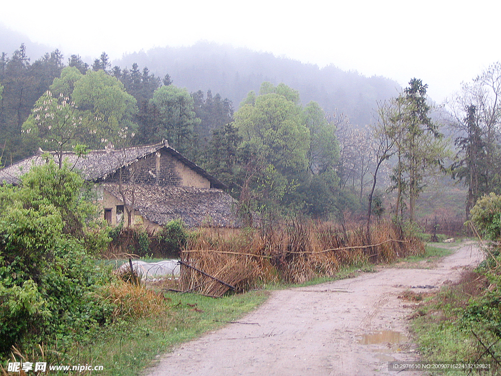 山中小路