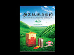 安溪铁观音茶叶
