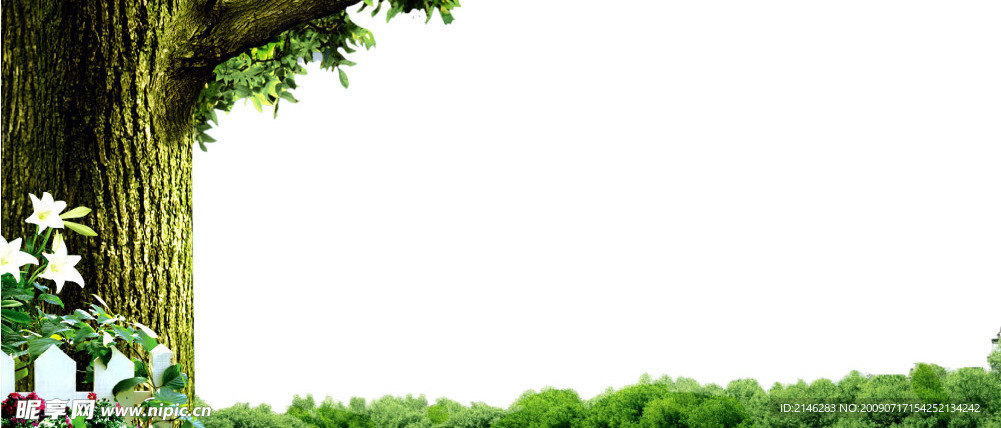 风景
