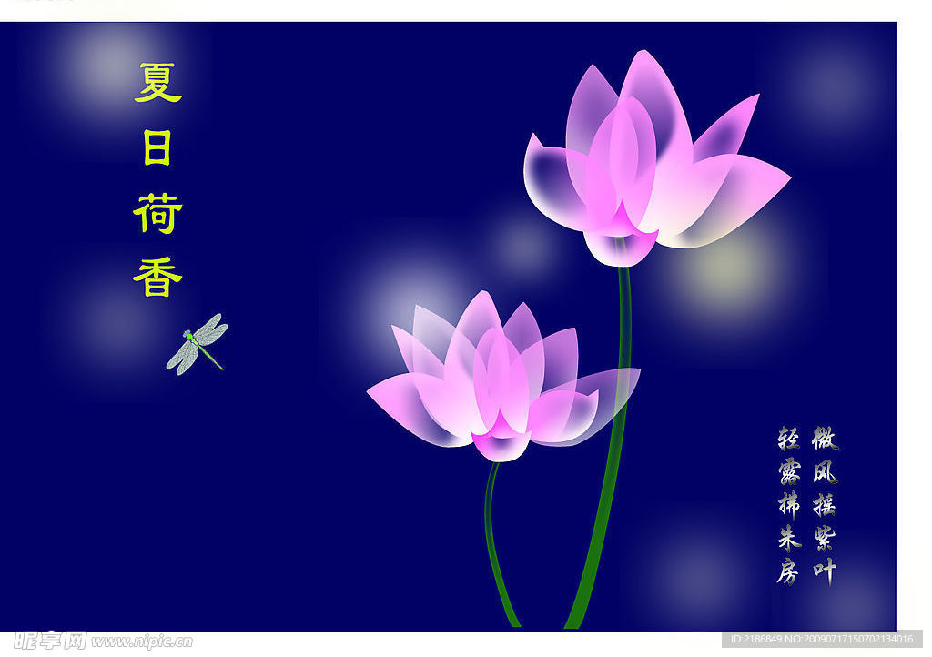 荷花壁纸