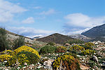 风景
