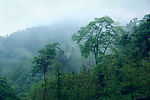 雾锁骊山