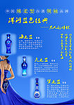 洋河蓝色经典 江苏洋河酒业