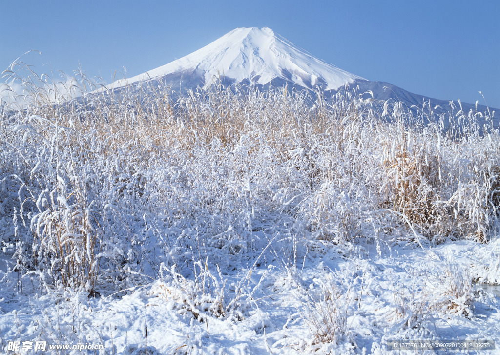 富士山雪景