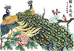 锦上添花（孔群）