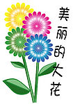 美丽的大花