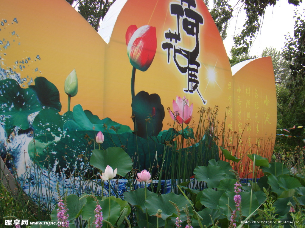 莲花