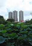 湖光美湖
