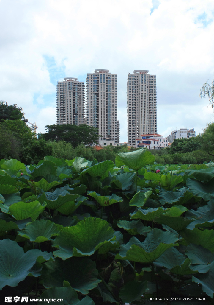 湖光美湖