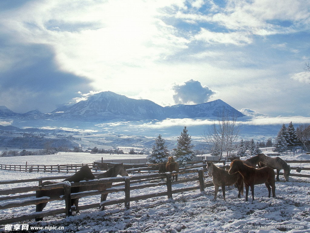 高原雪地