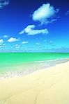 大海