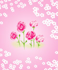粉色花儿