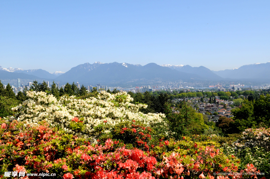 万花丛中的加拿大温哥华城市