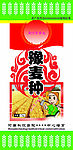 小麦种