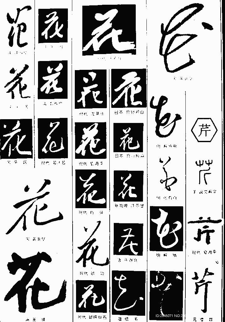 书法字典——花