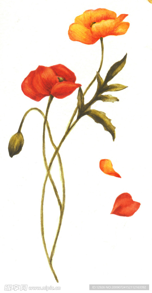 手绘花