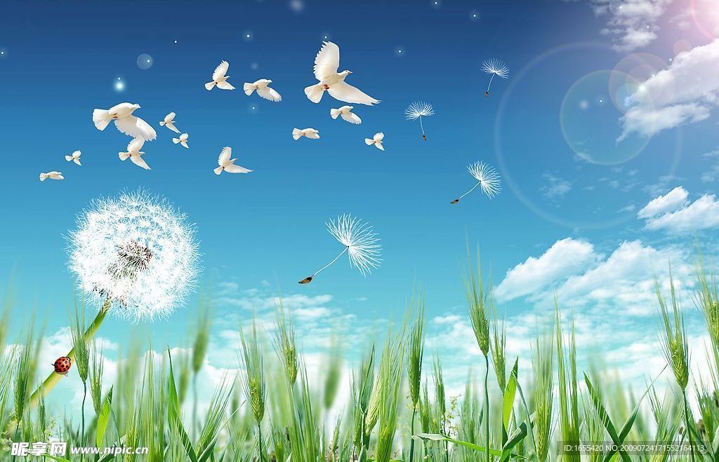 自然风光 旷野天空