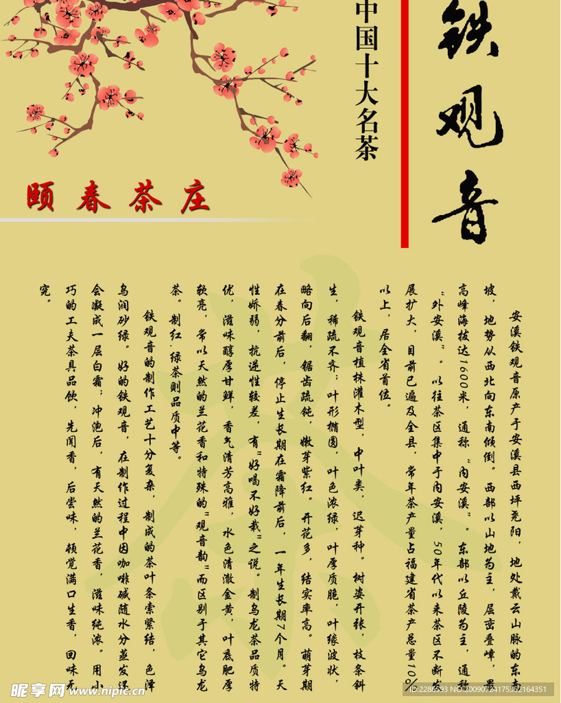铁观音