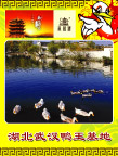 武汉鸭王