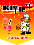 吊旗