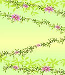 藤花之恋