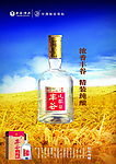 白酒海报