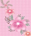 粉花争艳