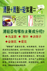 瑞倪维儿