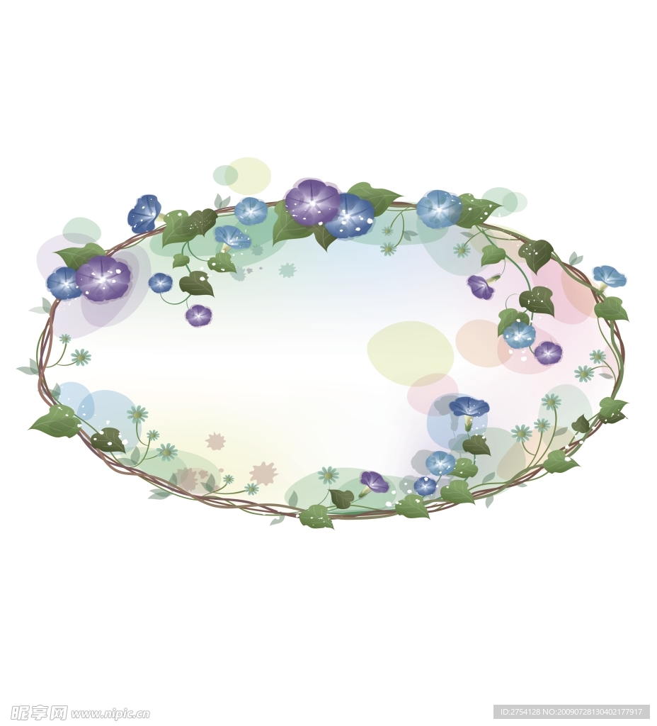 紫色牵牛花