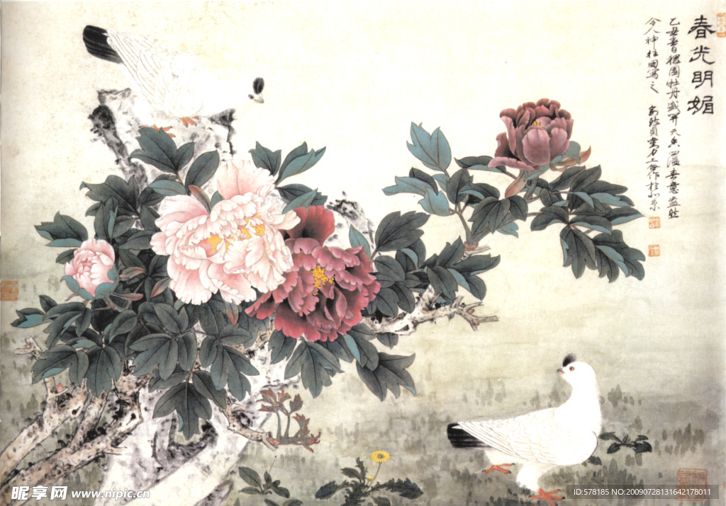 牡丹国画