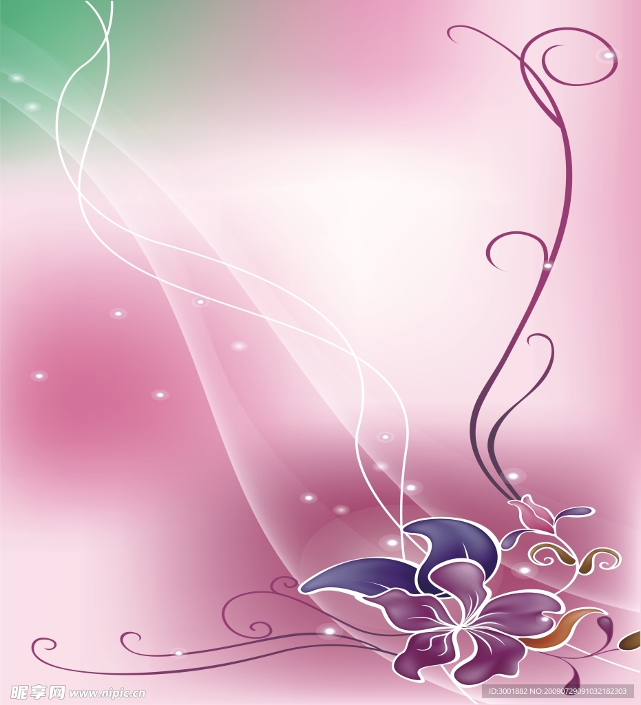 紫韵芳菲四