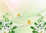 蝶花情深二