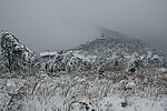 雪中寒寺