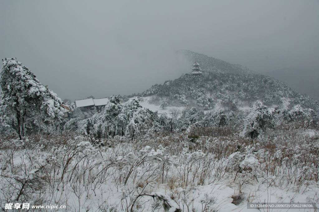 雪中寒寺