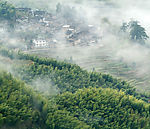 南方风景01