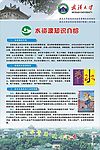 环境卫生知识宣传系列一