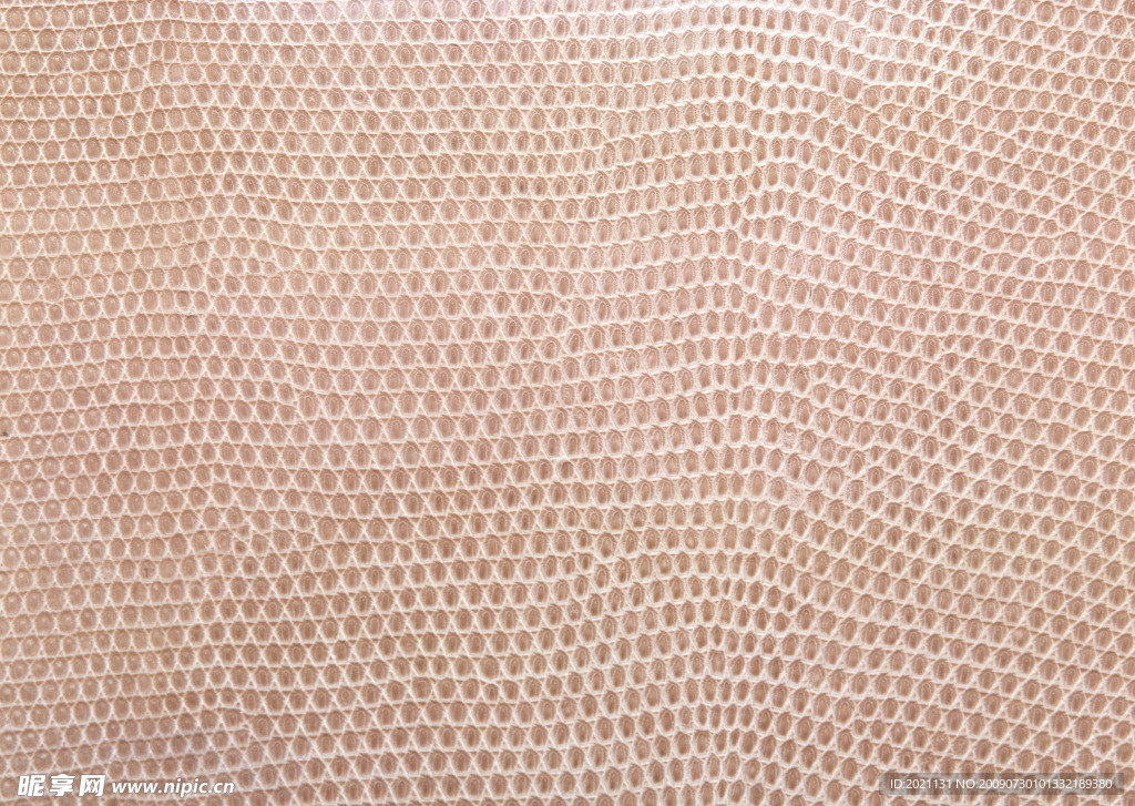 皮纹
