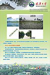 环境卫生知识宣传系列之四